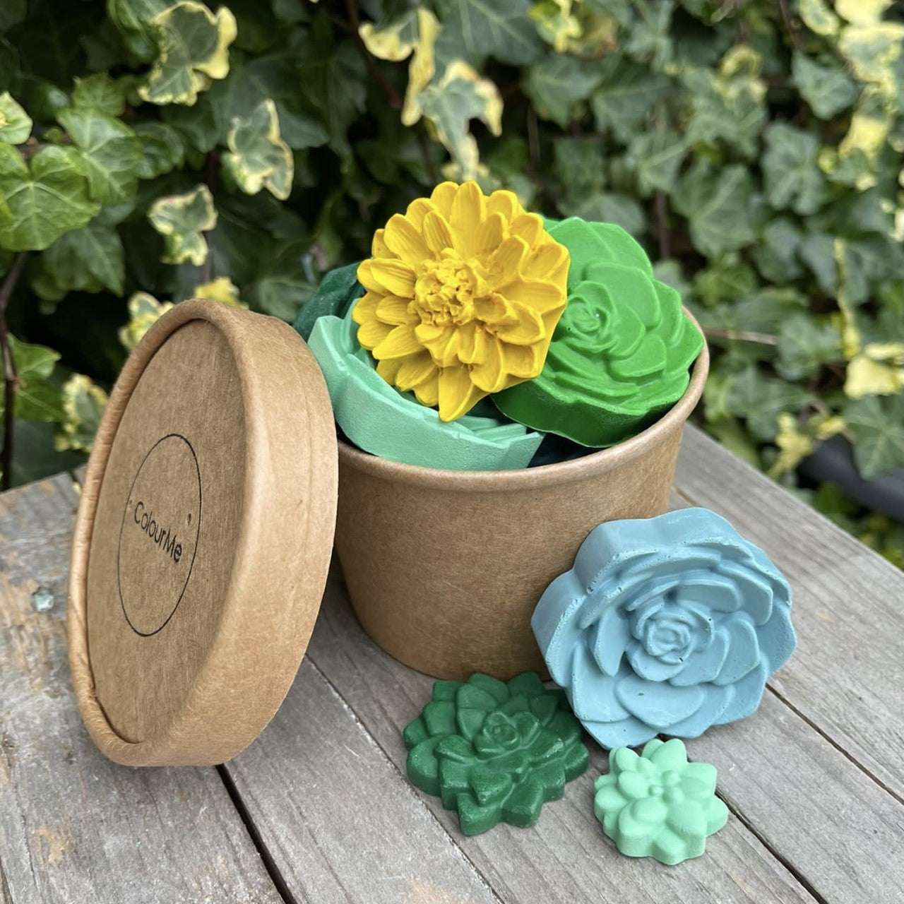 ColourMe Pot of Plants