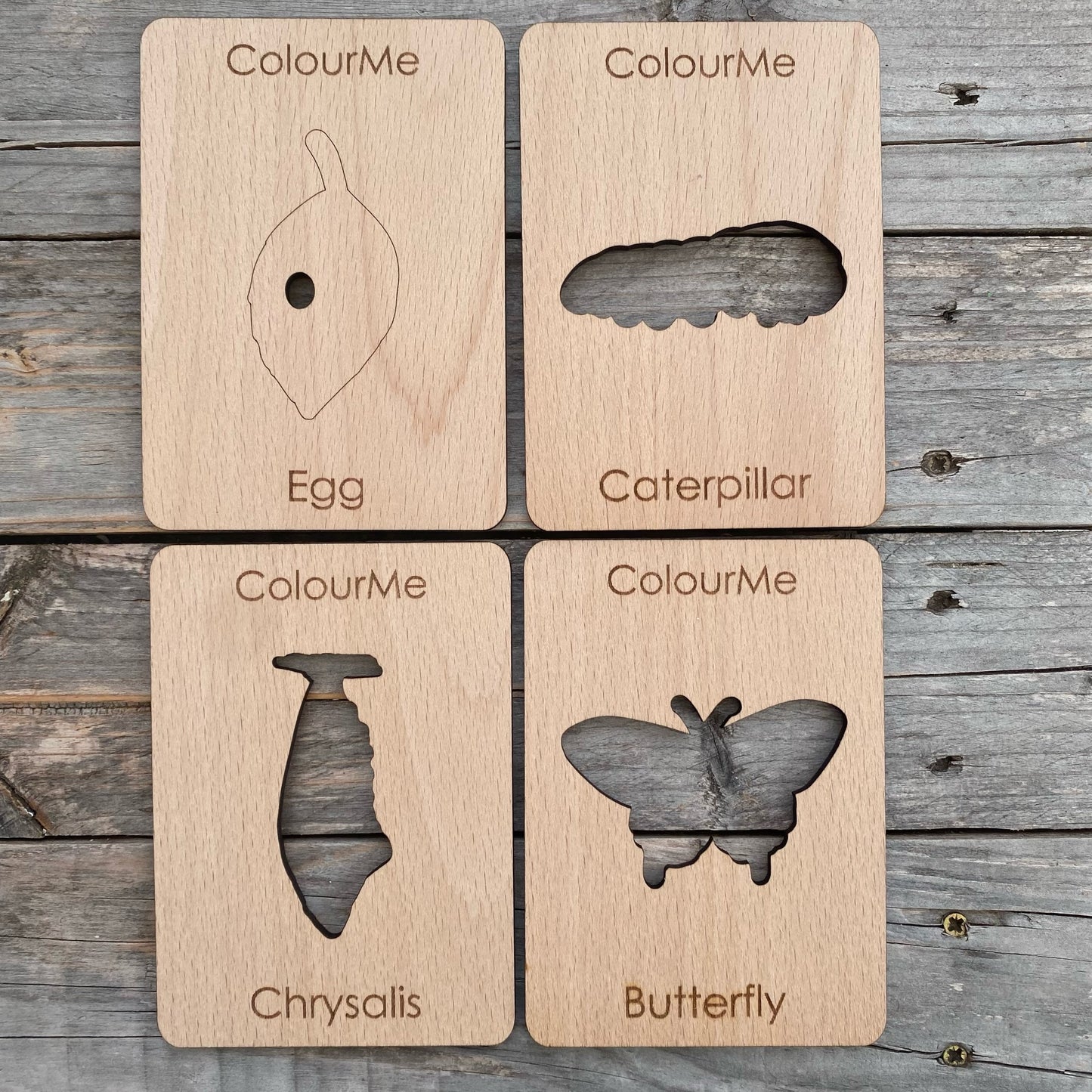 ColourMe Butterfly Lifecycle stencil set