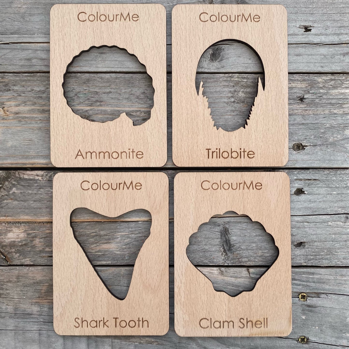 ColourMe Fossil stencil set