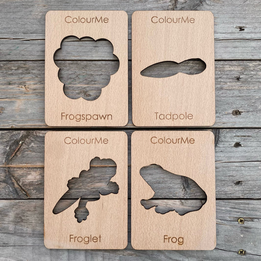 ColourMe Frog Lifecycle stencil set