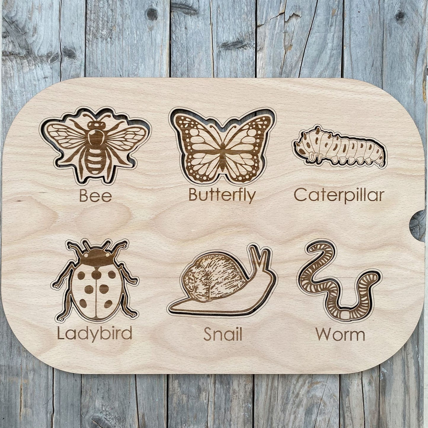 DrawMe Mini Beast Activity Lid