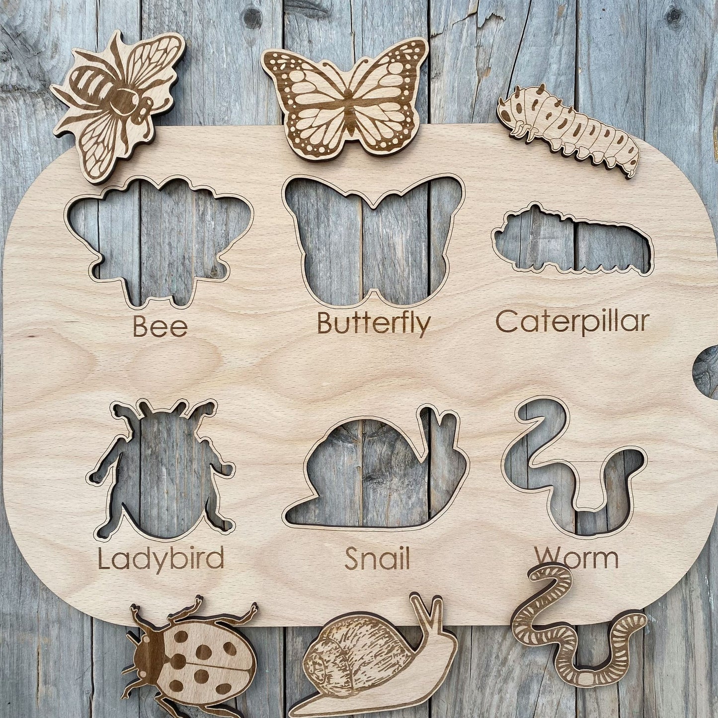 DrawMe Mini Beast Activity Lid