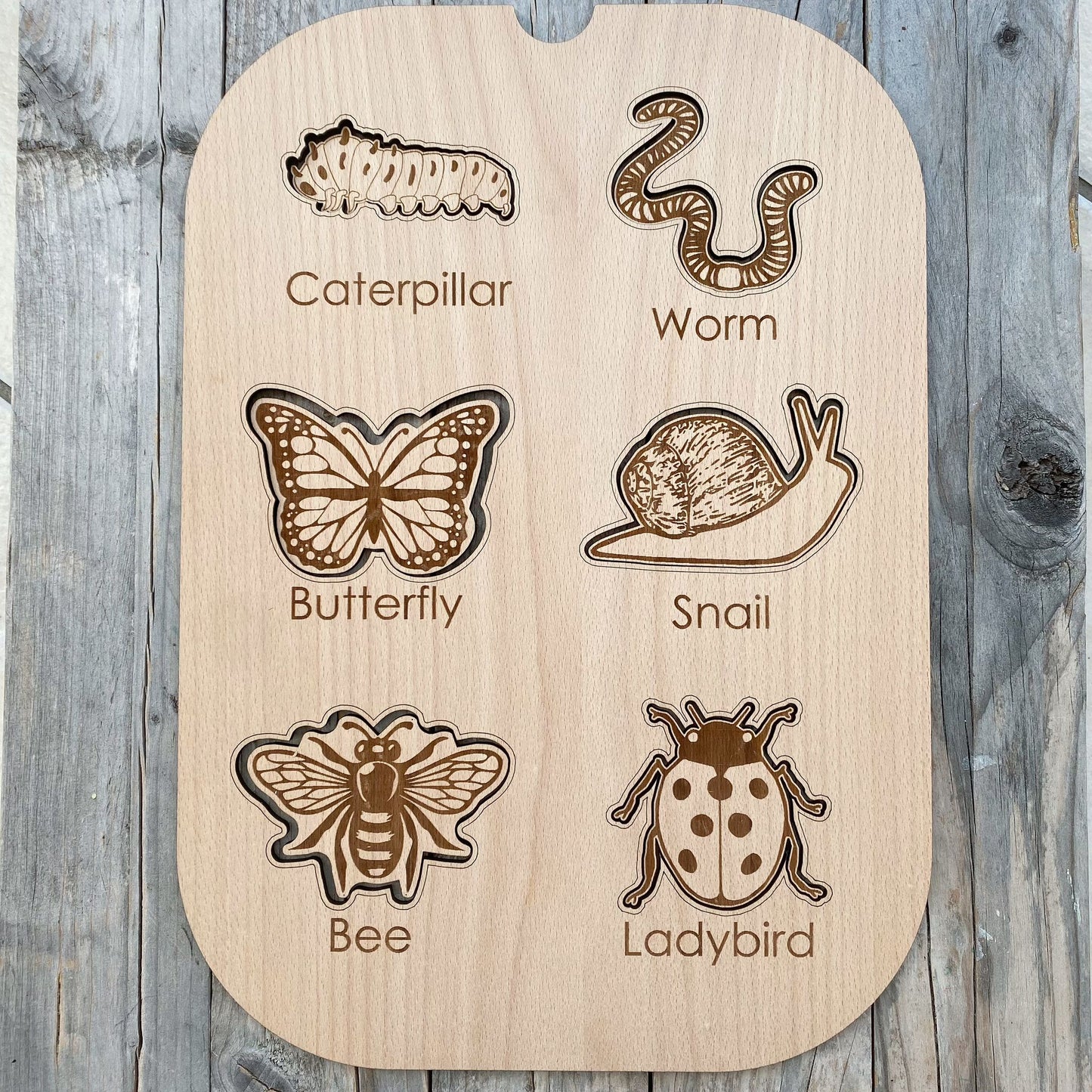 DrawMe Mini Beast Activity Lid