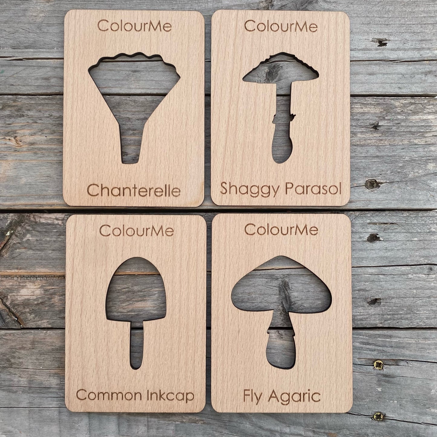 ColourMe Mushroom stencil set