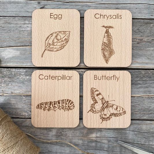 DrawMe Butterfly Life Cycle Flashcards