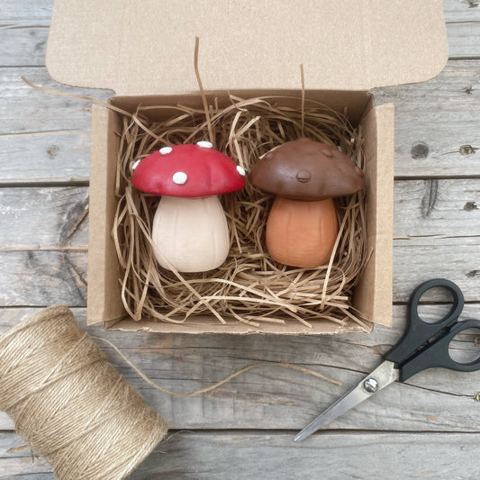 ColourMe Toadstools