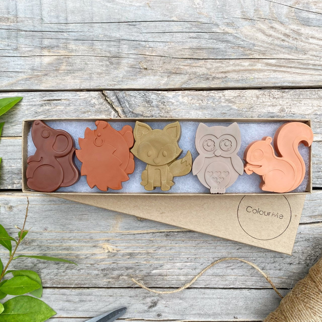 ColourMe Woodland Animals Set