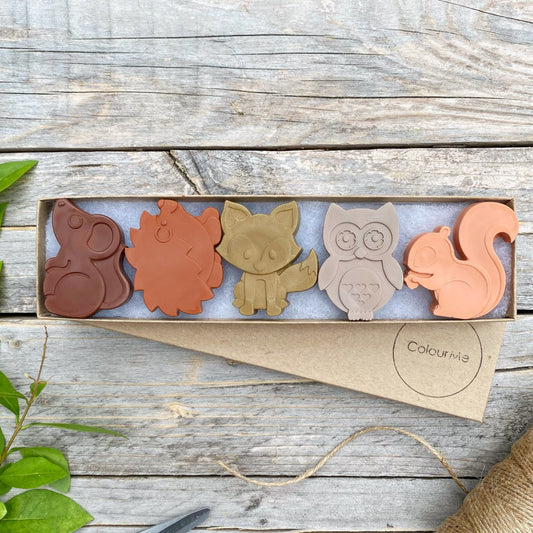 ColourMe Woodland Animals Set