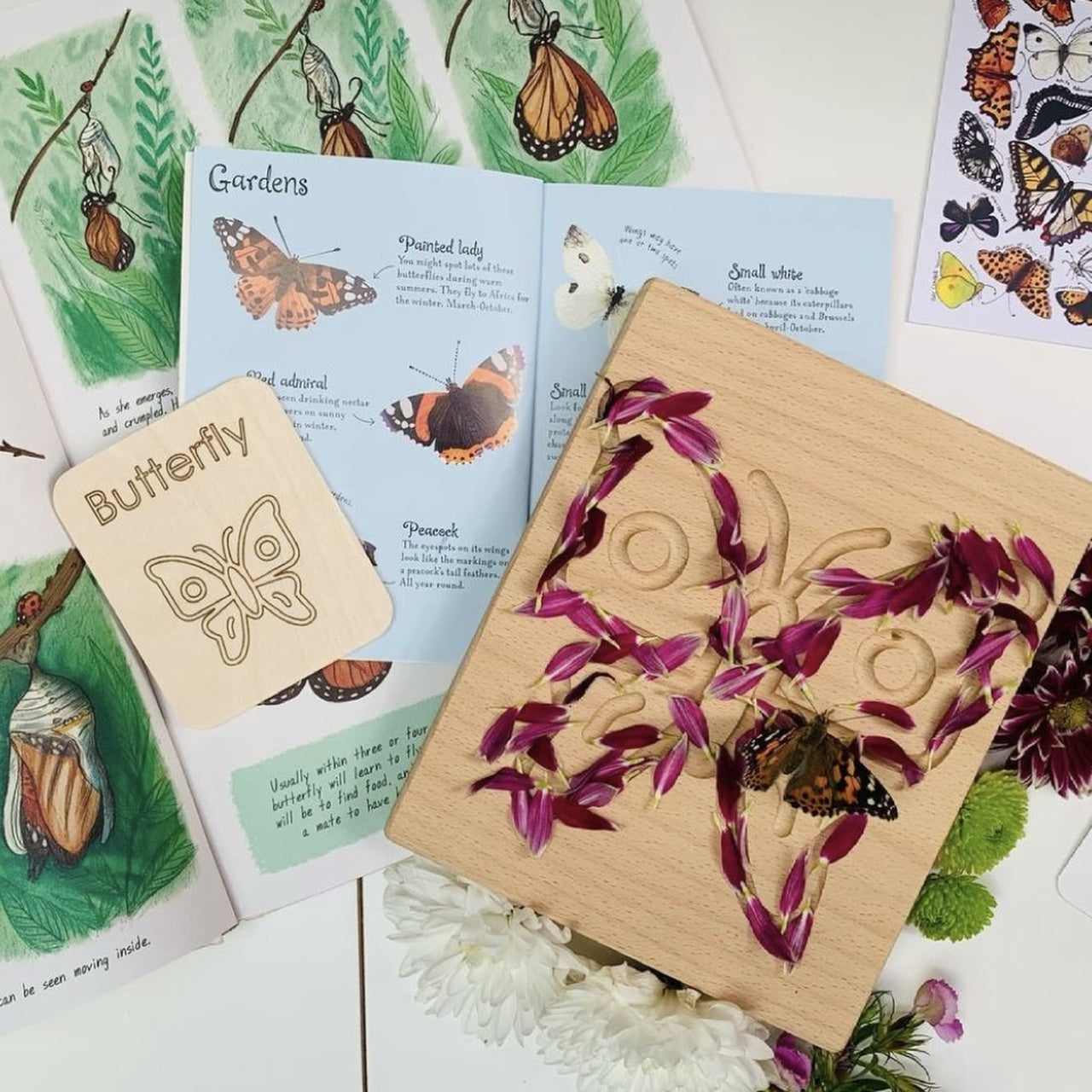 DrawMe Butterfly Sensory Board