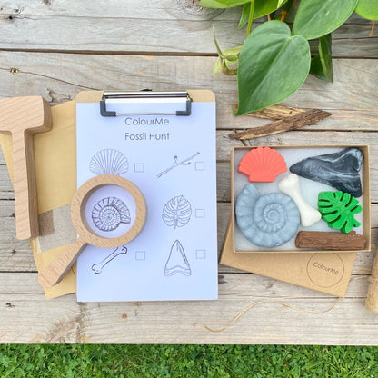 ColourMe Fossil Hunt Set