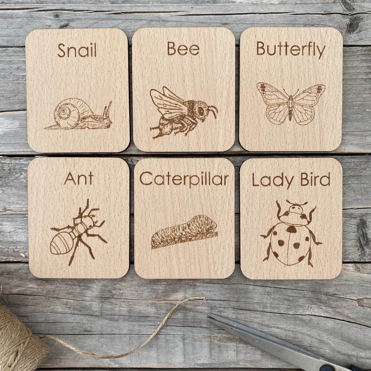 DrawMe Mini Beast Flashcards