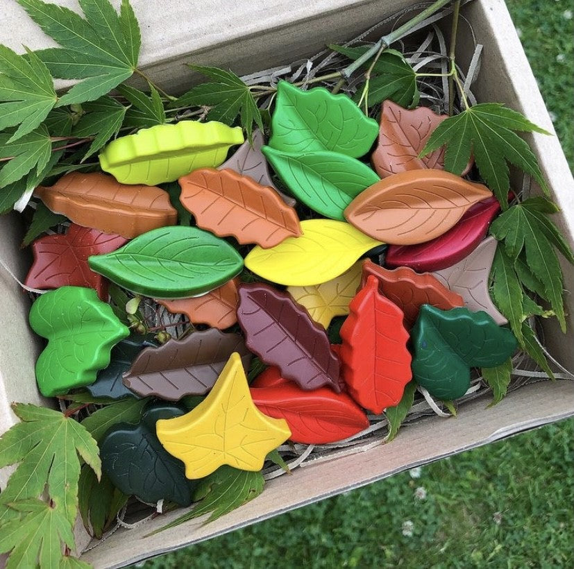 ColourMe Mixed Leaf Set