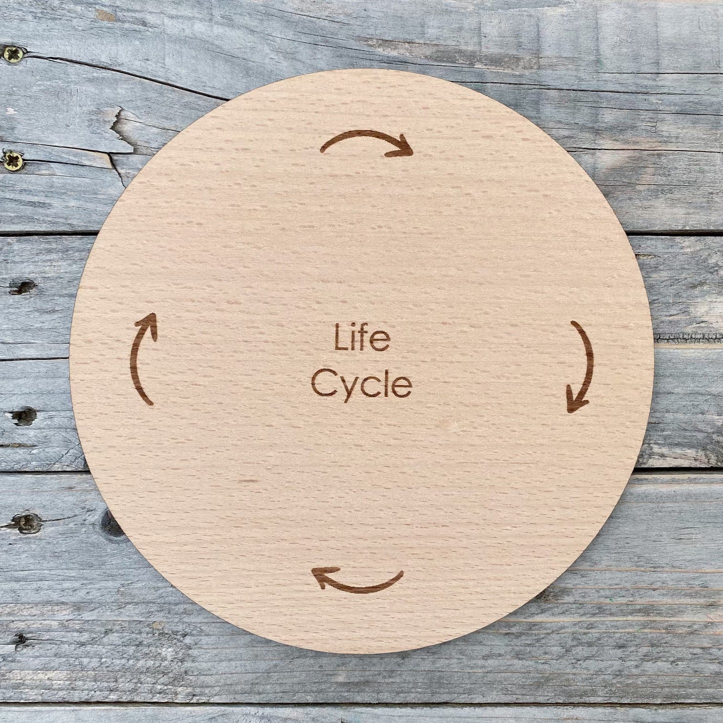 DrawMe Life Cycle Wheel